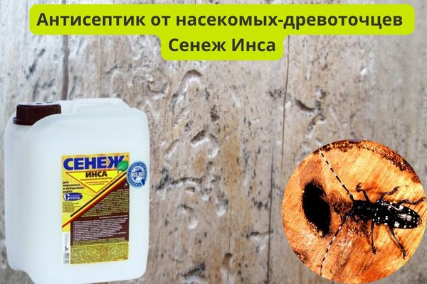 Пропитка для дерева от насекомых-древоточцев Сенеж Инса фото